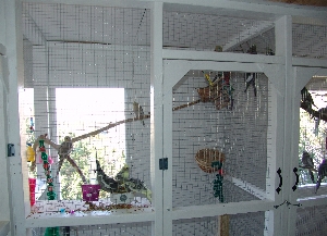 View of Smaller Holding Cage