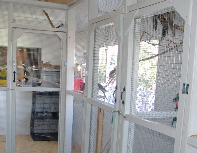Large Flight Cage in the Back, and Smaller Holding Cages on the Right